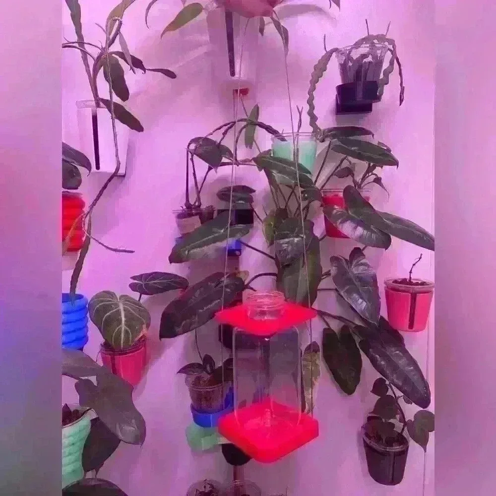 New 3D Printed Square Plant Prop Hanger Watermelon Color with 12oz Glass Jar